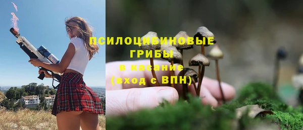 прущая мука Аркадак