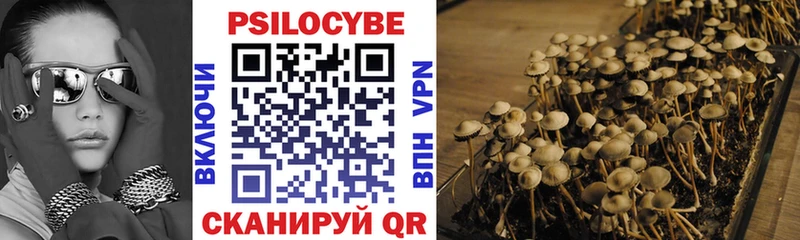 Купить где  Володарск  Галлюциногенные грибы Magic Shrooms 