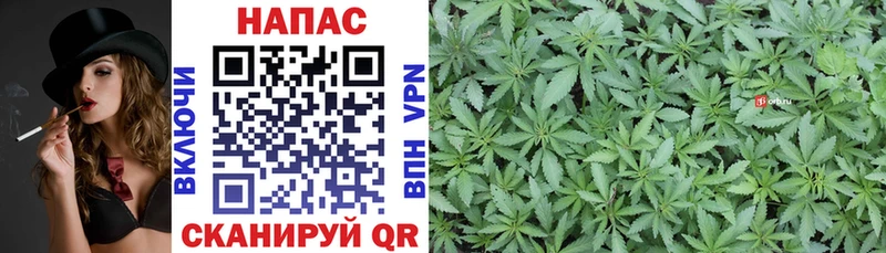 Купить  Володарск  Бошки марихуана THC 21% 